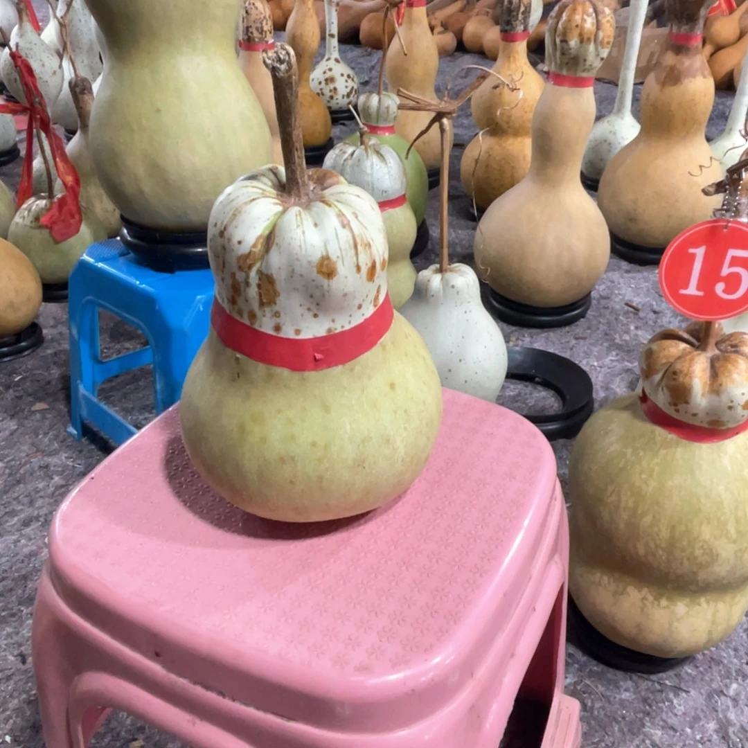 来***长大叶紫檀（黑酸枝木类）