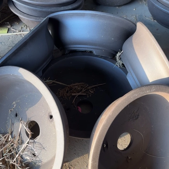 紫砂花盆100-6。