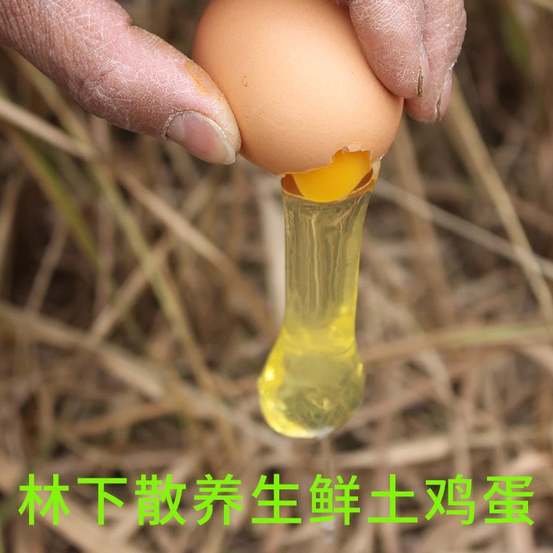 鹮农土鸡蛋纯粮食林下散养无抗柴鸡蛋无腥跑山鸡蛋新鲜走地草鸡蛋