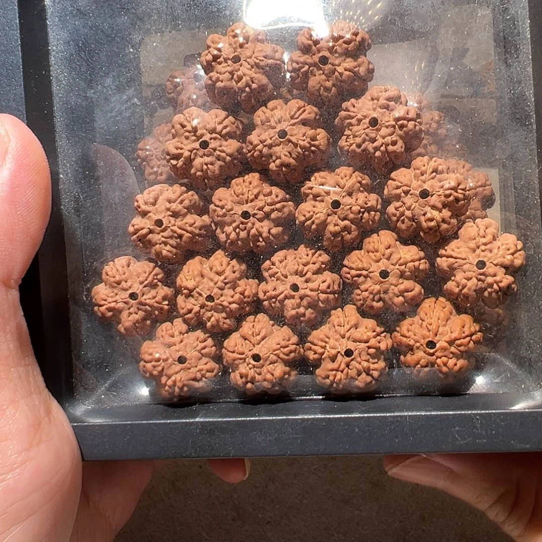 金刚菩提手串小花王16尺寸左右福利