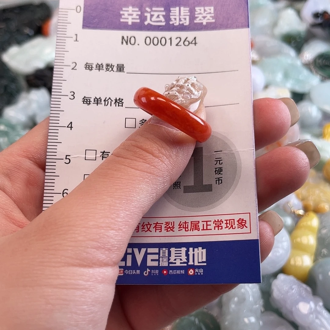 翡翠未镶嵌颈饰1264