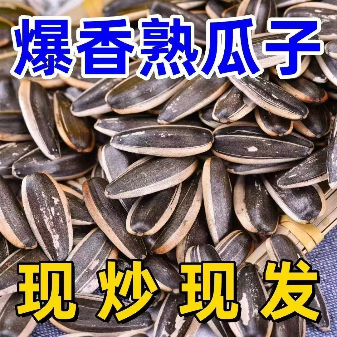 【两斤】内蒙古大颗粒原味炒熟葵花籽新货休闲零食