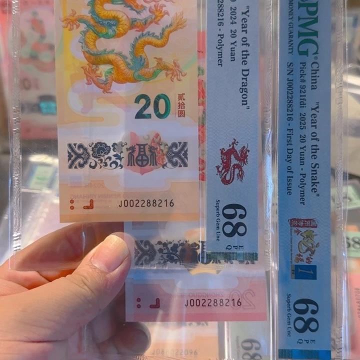 塑料00228816朦胧三连对双胞胎全同68分
