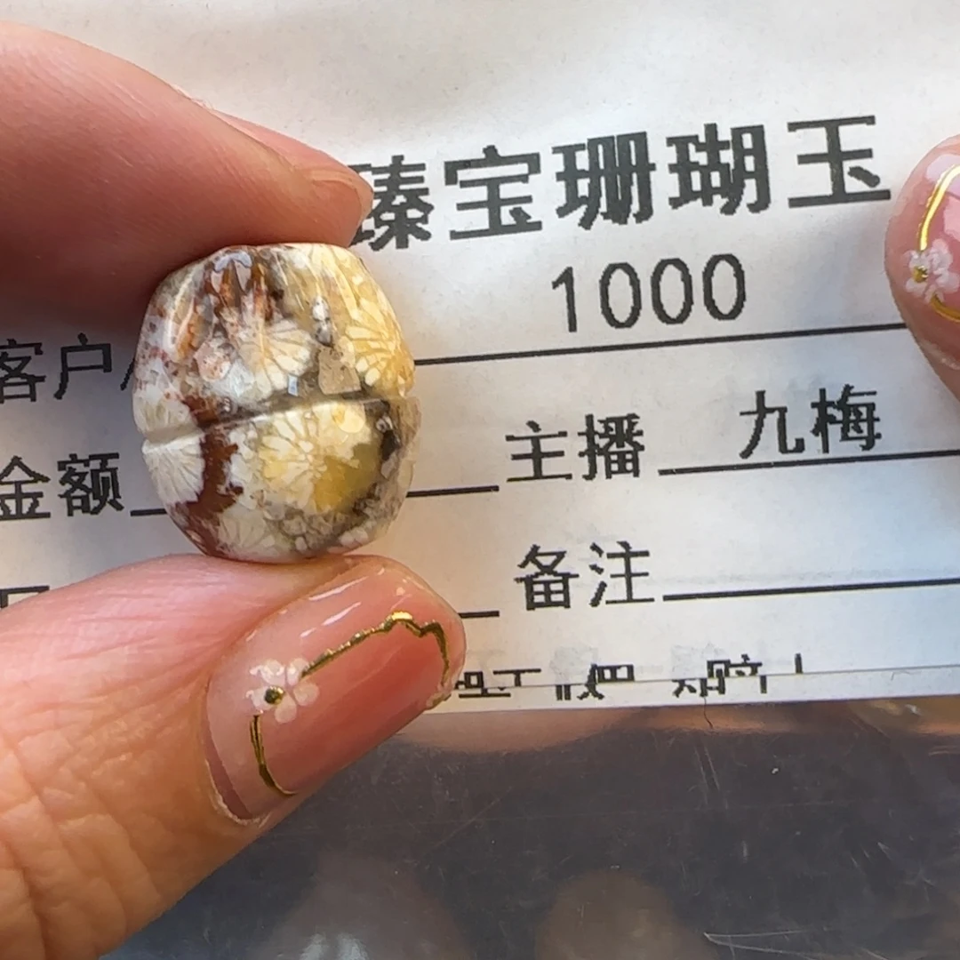 硅化珊瑚（珊瑚玉）未镶嵌颈饰