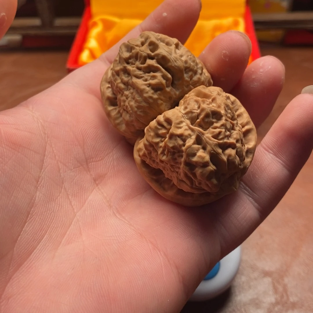 香***巴文玩一玩了没有嘛