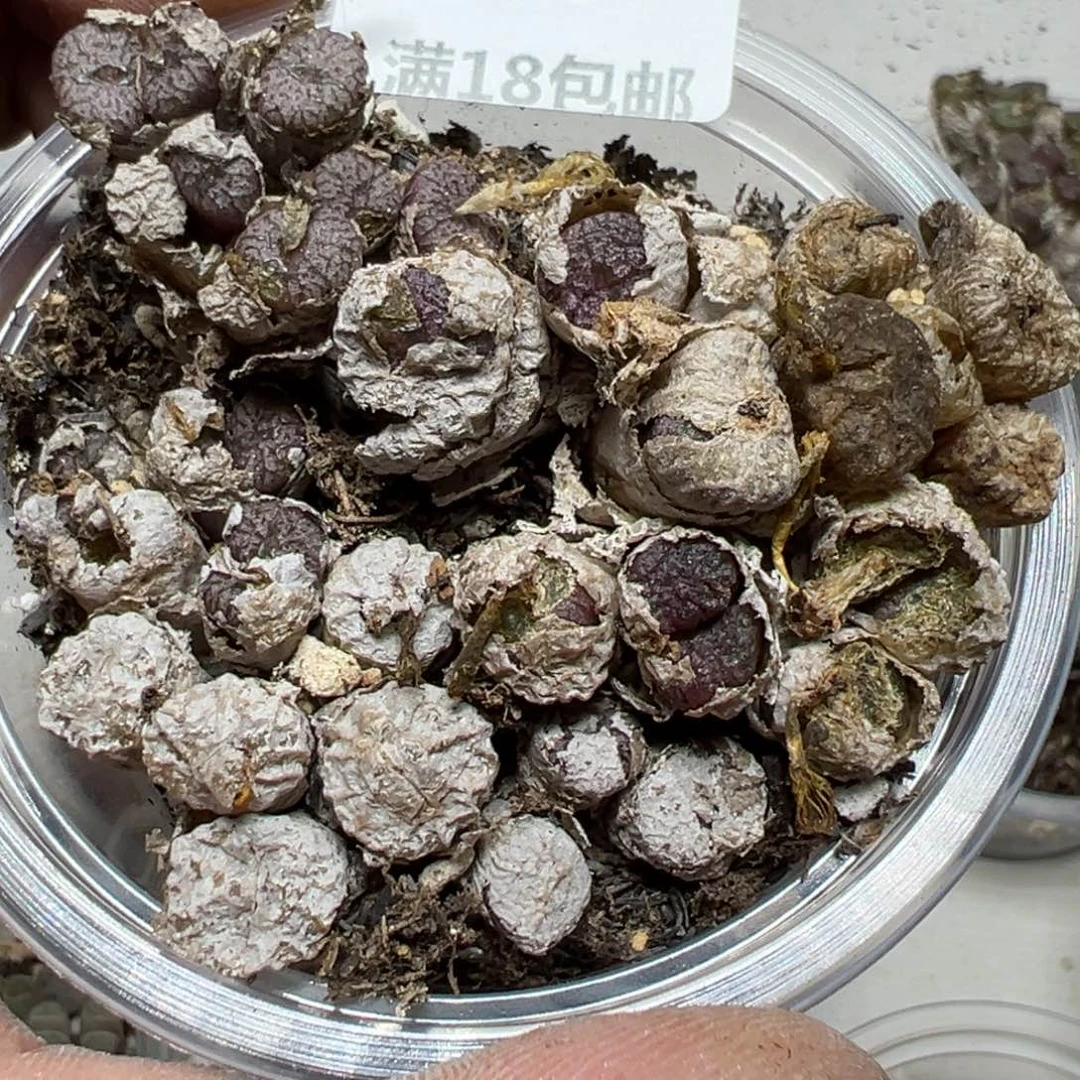 【闪购商品】 889。