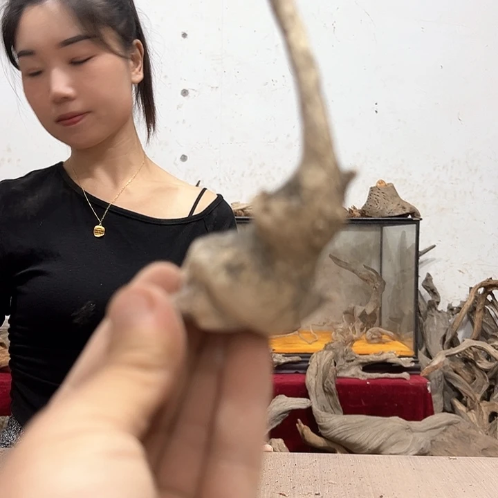 柏木云****室我们的生活也