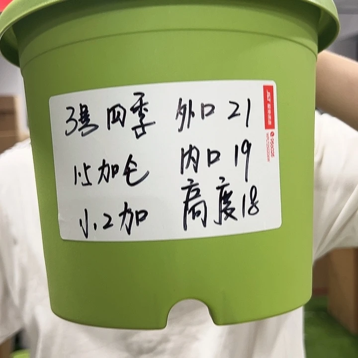 特价3号口21高18果绿无托10只