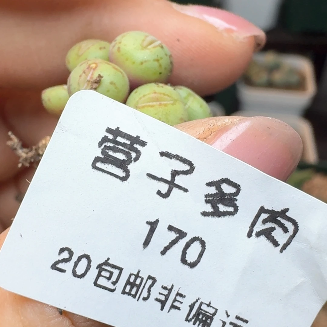 170福利出0000000000000