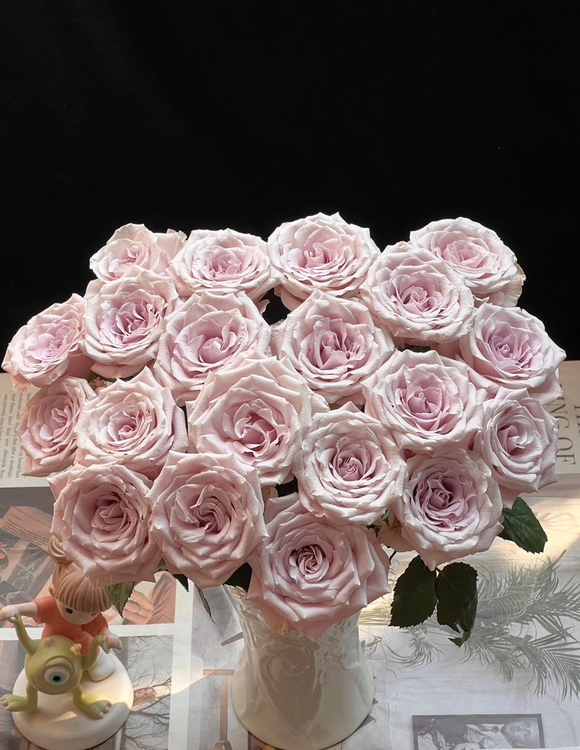 【曼塔玫瑰10支】（20%不售后）