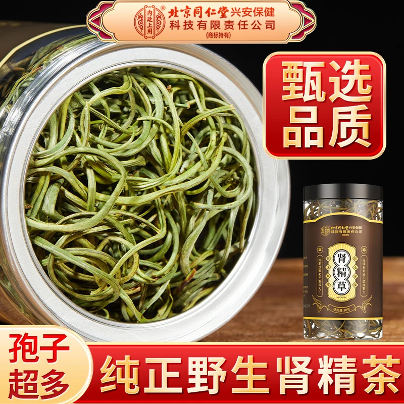 【嗷嗷叫】吉林肾精草肾精茶小叶多孢子黄金草茶黄金草产茶叶泡水