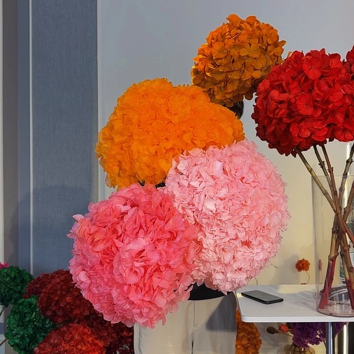 漂色绣球3枝，樱花粉1，深粉1，橙1