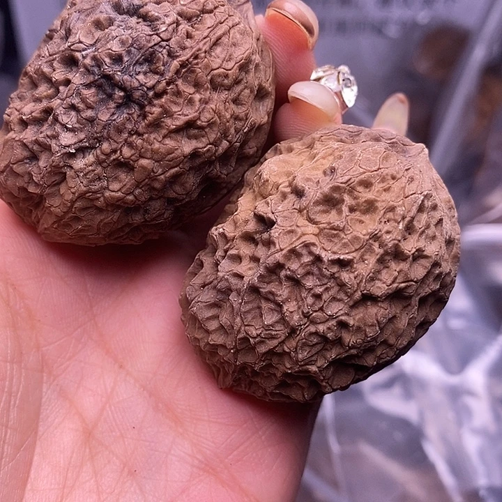 核桃云南野生铁核桃28号40mm