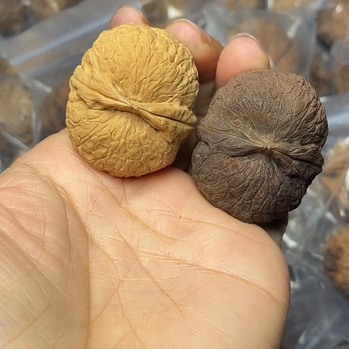文玩核桃把件云南铁核桃20
