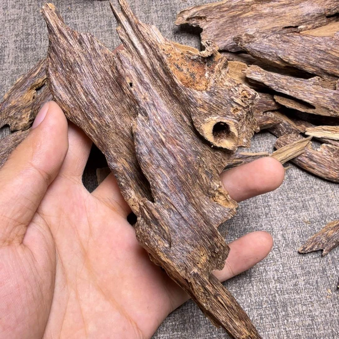 香榧木虫漏摆件23克