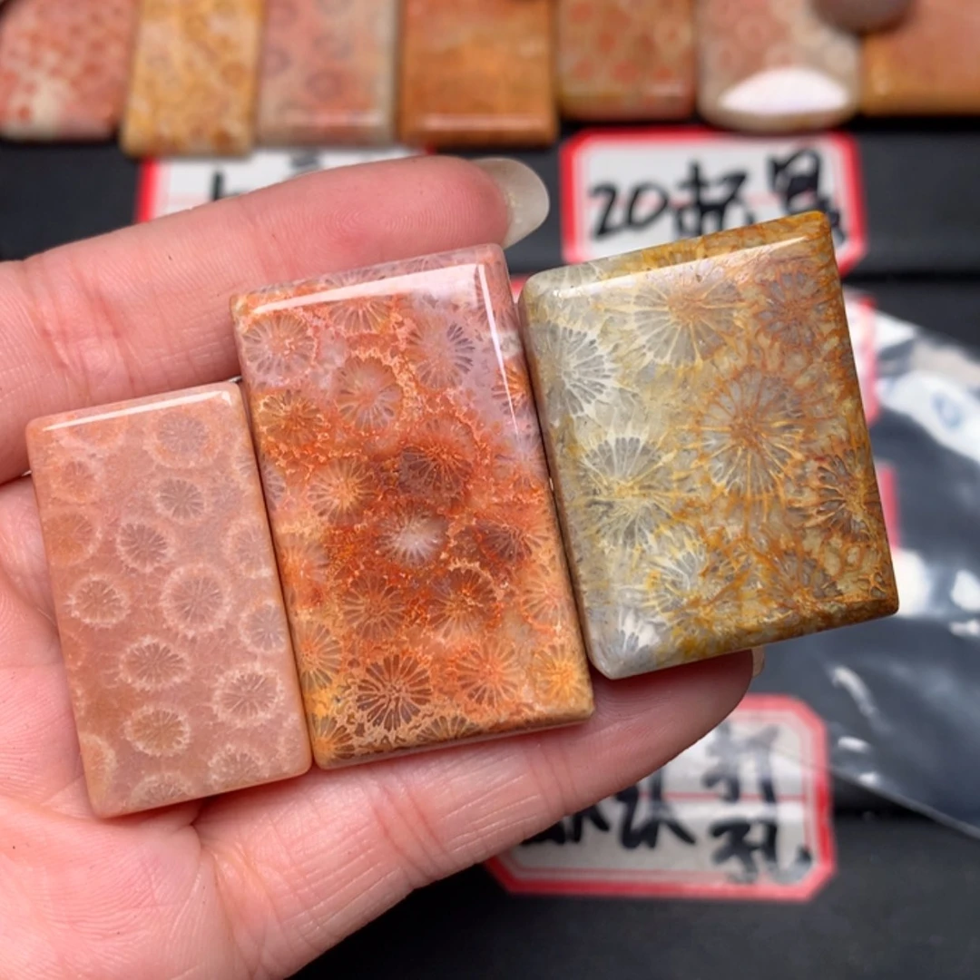 【闪购商品】硅化玉颈饰未镶嵌但***?