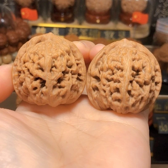 球体：凤凰台全品