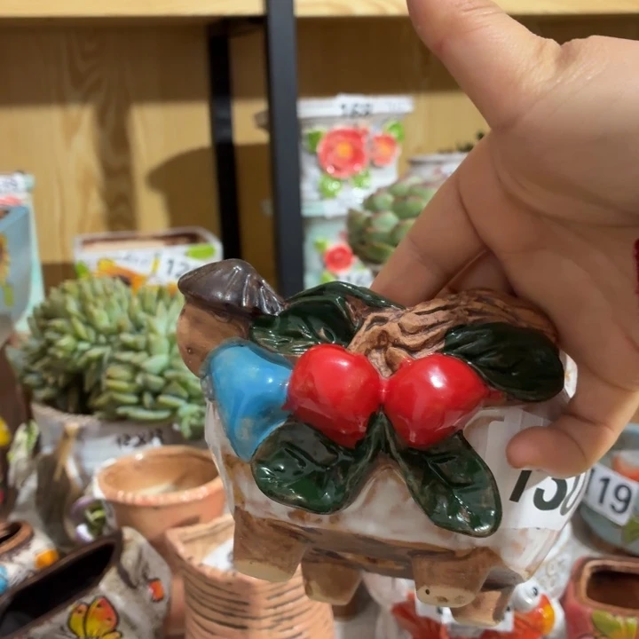 多肉花盆满15包邮