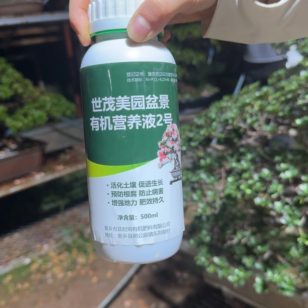 杜鹃专用营养液2号