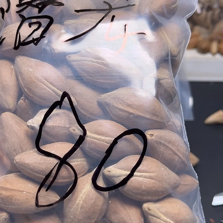 潜***龙手串/手链橄榄核111-