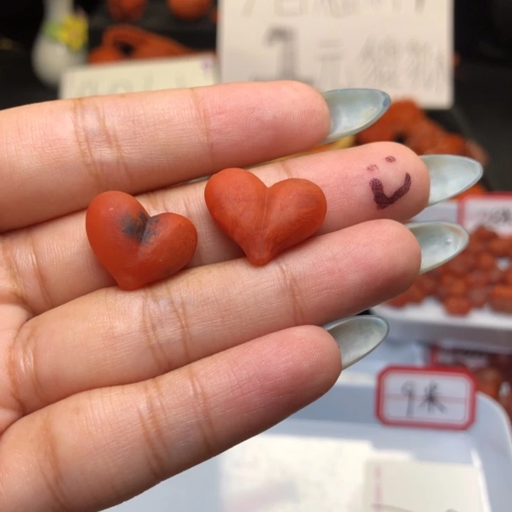 南红玛瑙未镶嵌颈饰