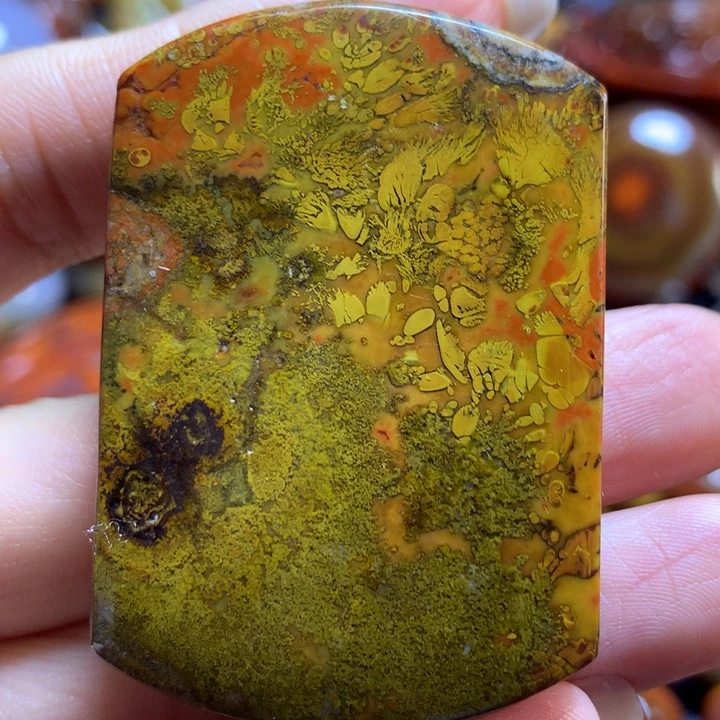 玛瑙/玉髓战国红吊坠未镶嵌