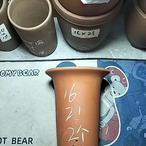 小红兰花两个微瑕