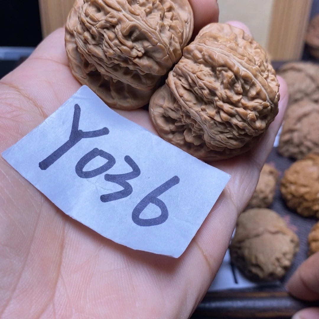 把件文玩核桃43尺白狮子