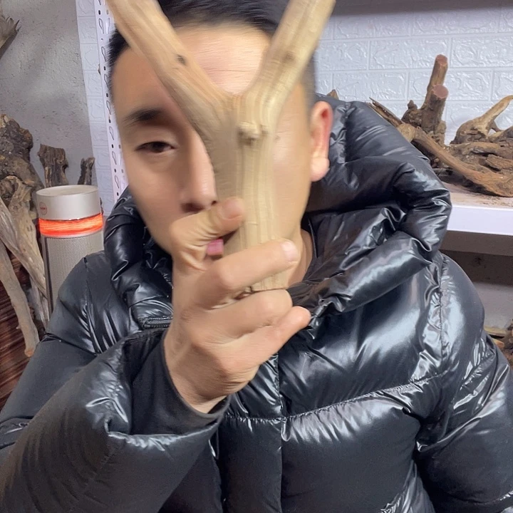 大叶紫檀（黑酸枝木类）