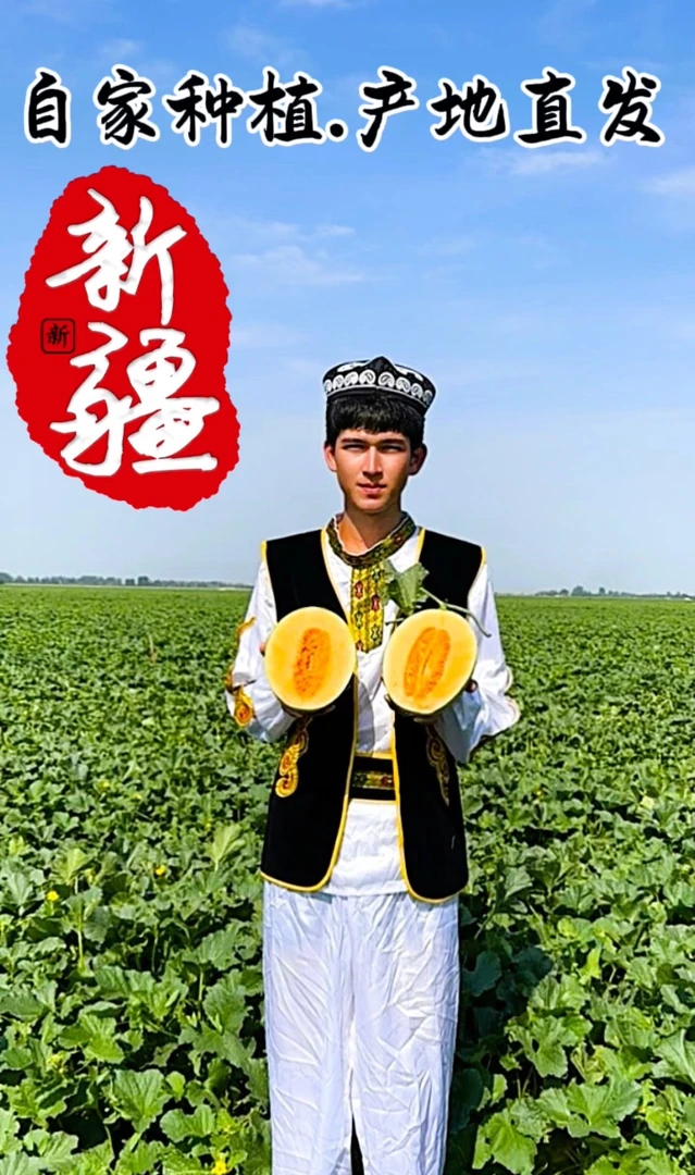 【顺丰包邮】新疆正宗哈密瓜.产地直供.香甜多汁.脆爽口感.坏果包赔