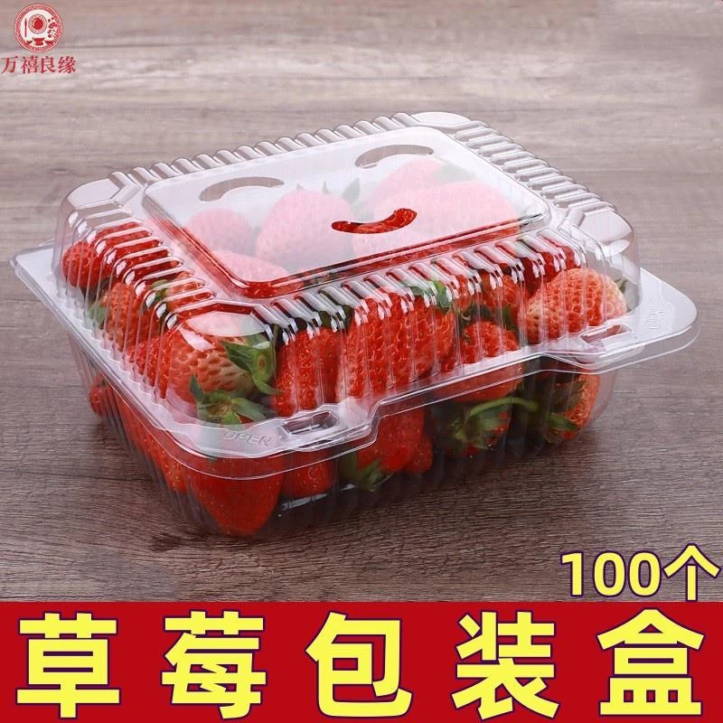 一斤草莓包装盒一次性水果打包盒透明带盖塑料吸塑盒外卖果切盒