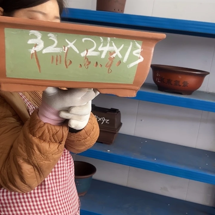 31绿马槽花盆花盆花盆