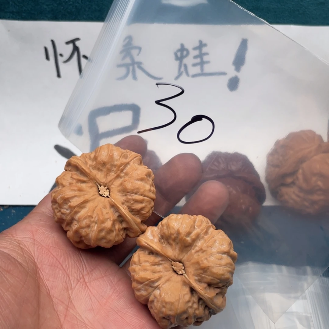 核桃75375373575333757357375