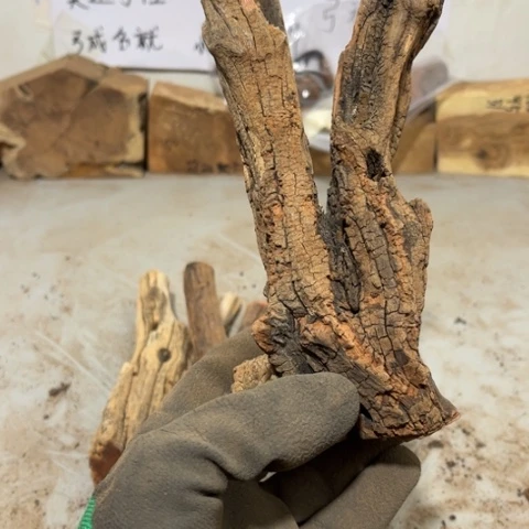 大果紫檀（缅甸花梨）弓**就