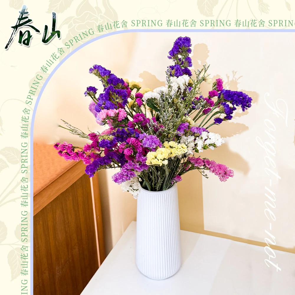 【勿忘我+情人草+送花瓶】半干花真花鲜艳家居摆件花束风干云南直发