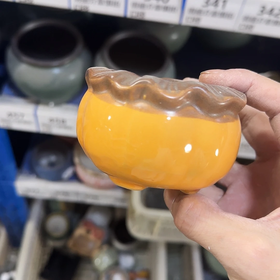 福利局［凑9元包邮24小时发］223