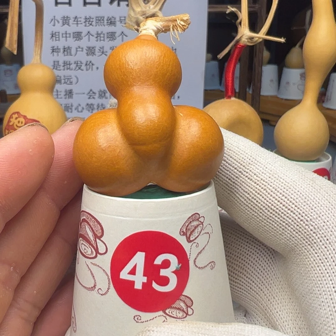 闪电购自助下单编号43