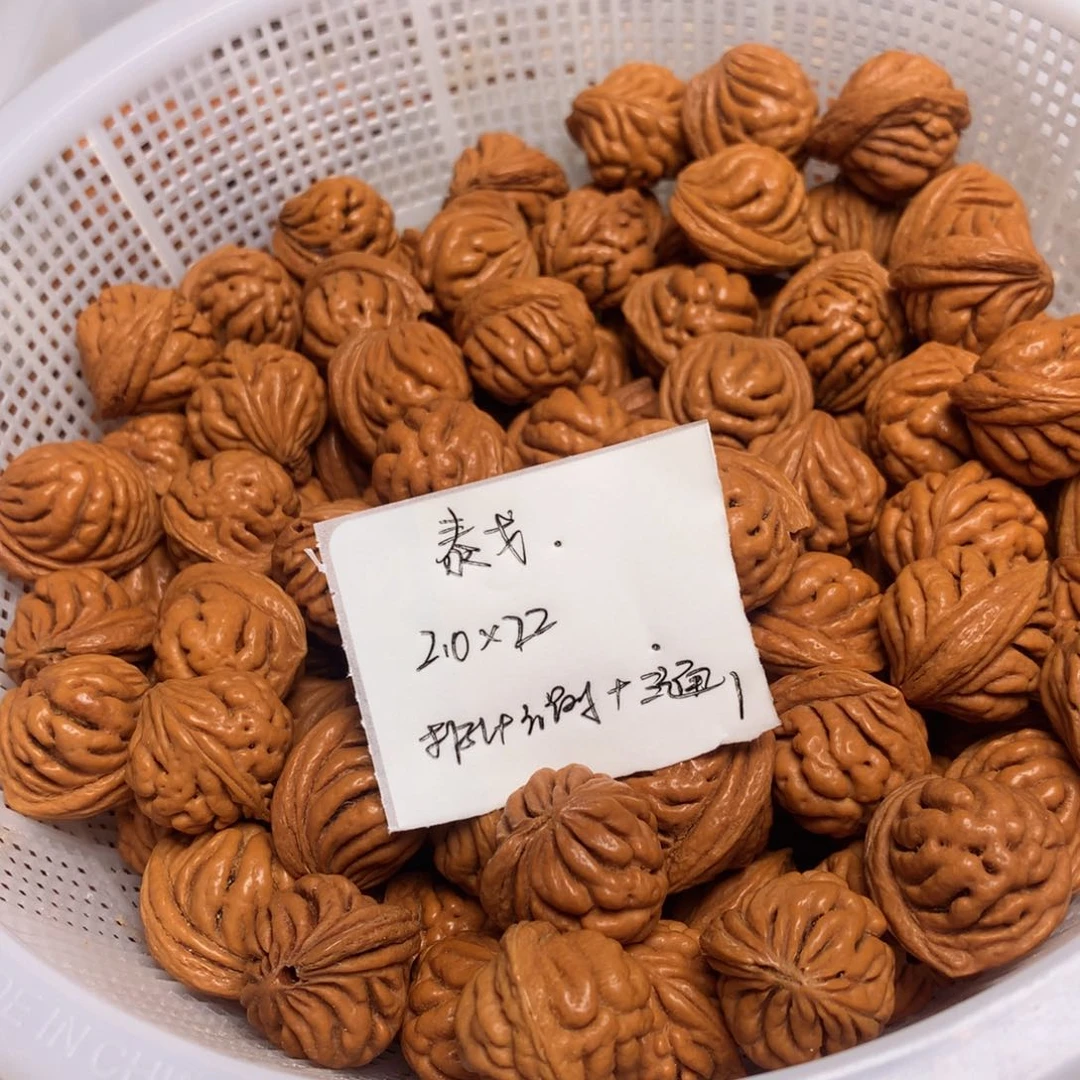 龙纹桃核霸王龙—