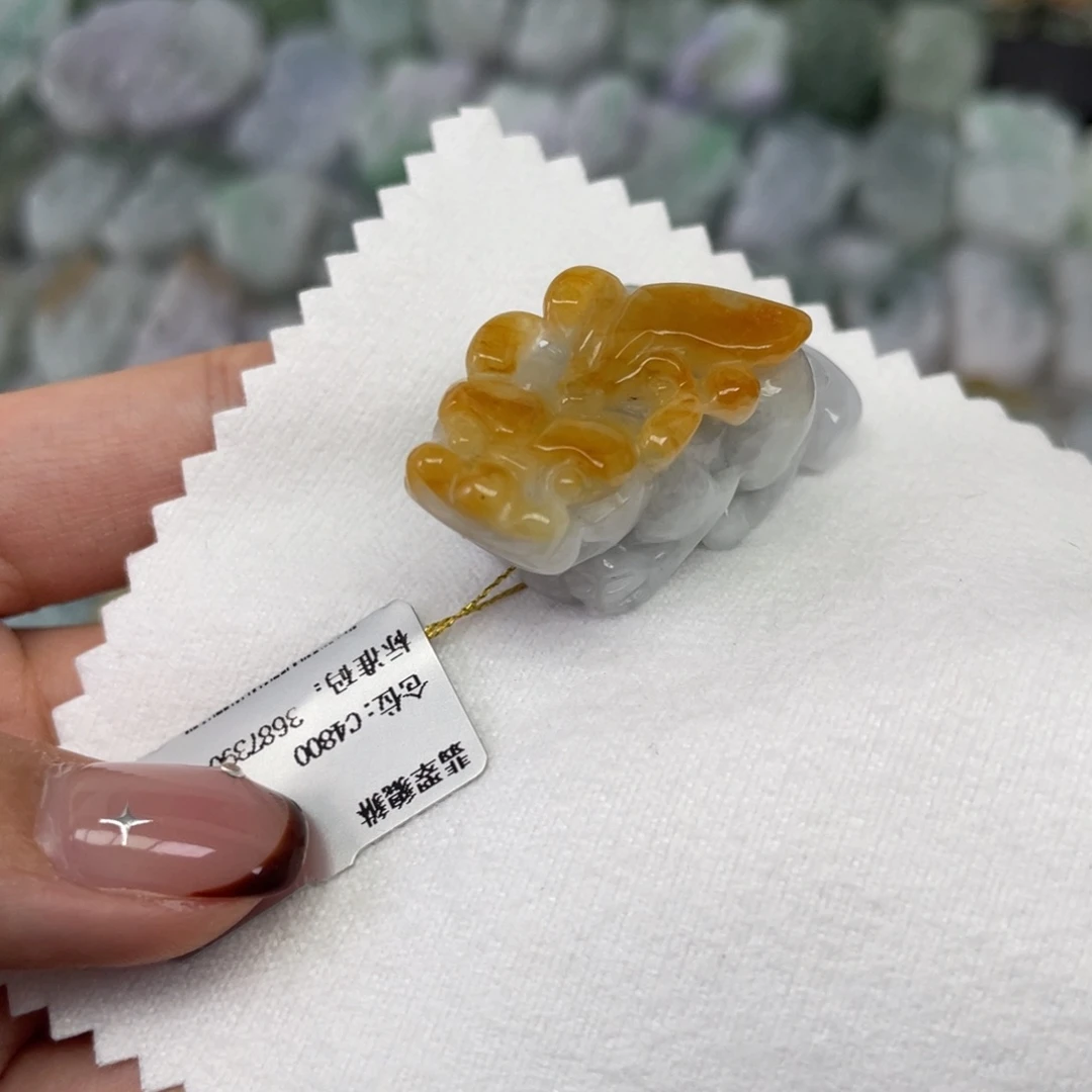 翡翠未镶嵌颈饰貔貅