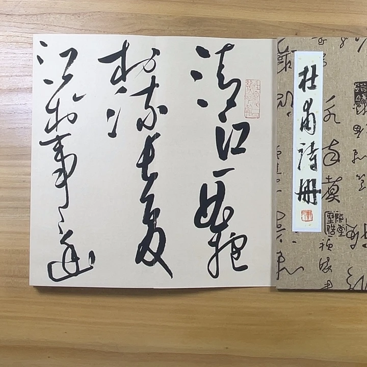 T***)书法中书协老师书法作品