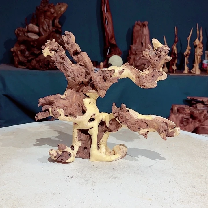 黑果木鑫****品380金丝红木羊蹄甲半成品