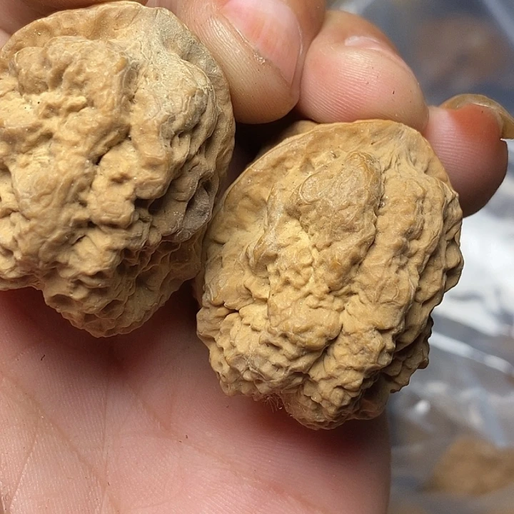 文玩核桃把件云南铁核桃80号39mm