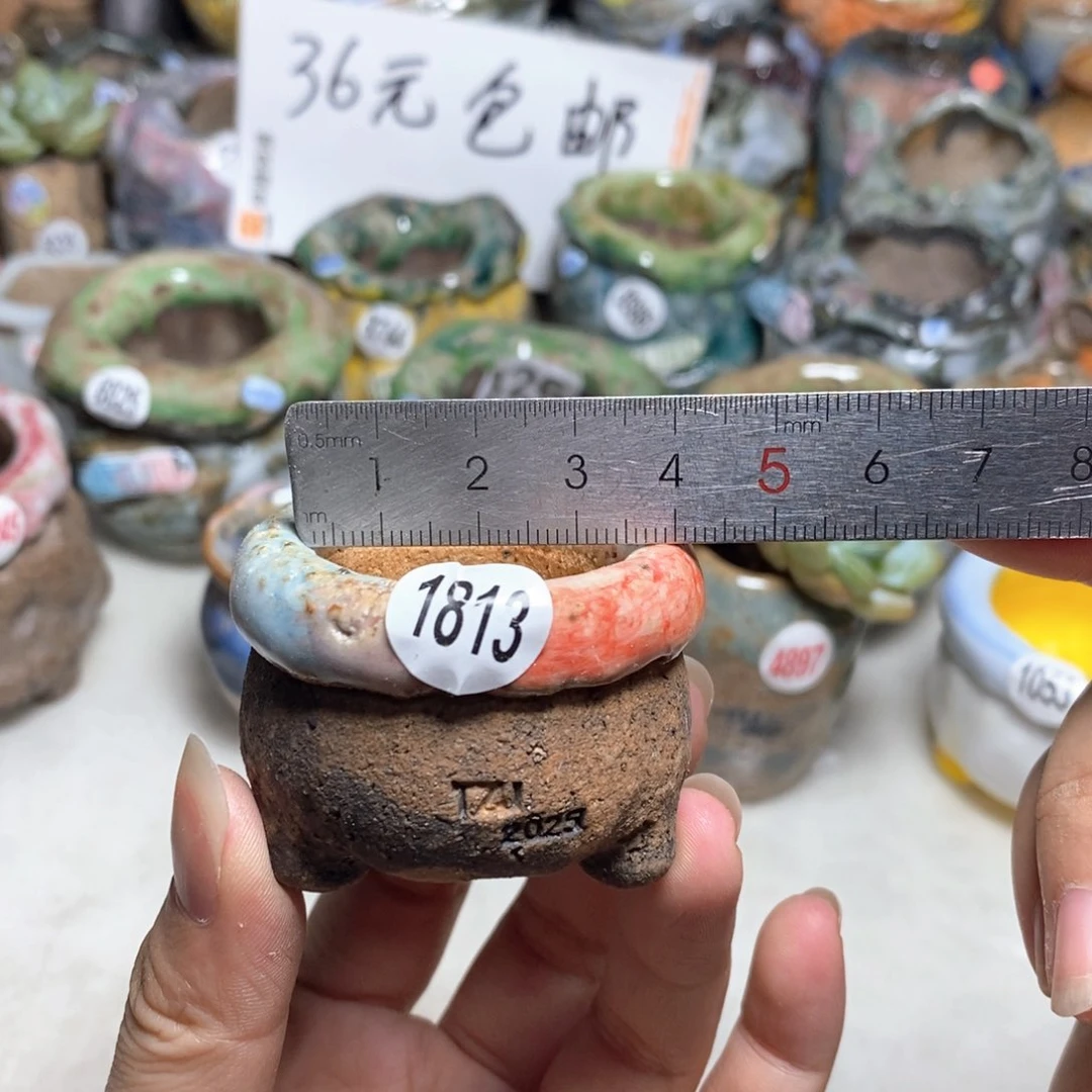 拍3送一个小礼物
