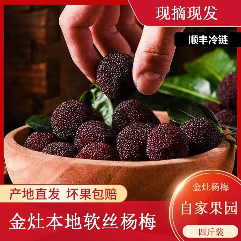 潮汕金灶本地软丝黑梅 现摘现发 酸甜可口四斤装