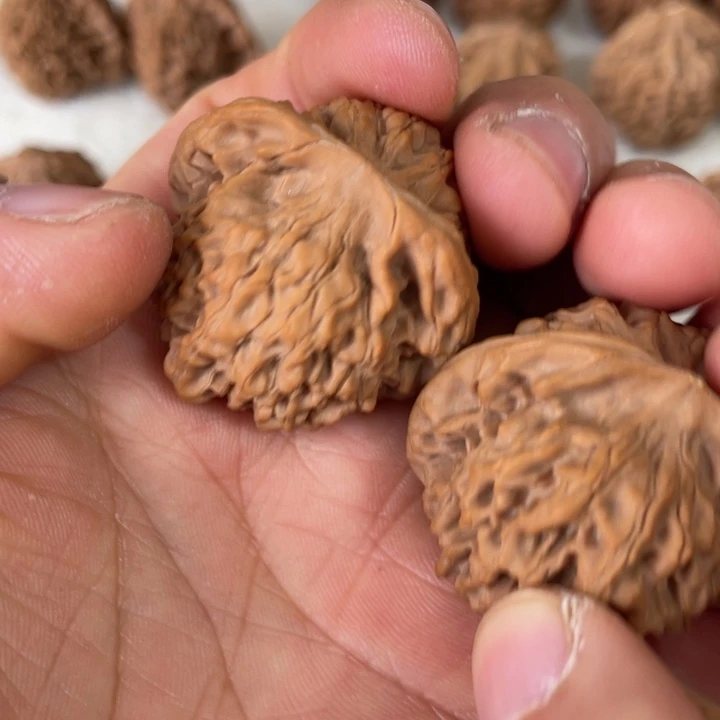 核桃其他瑞**影秦岭核桃秦闷