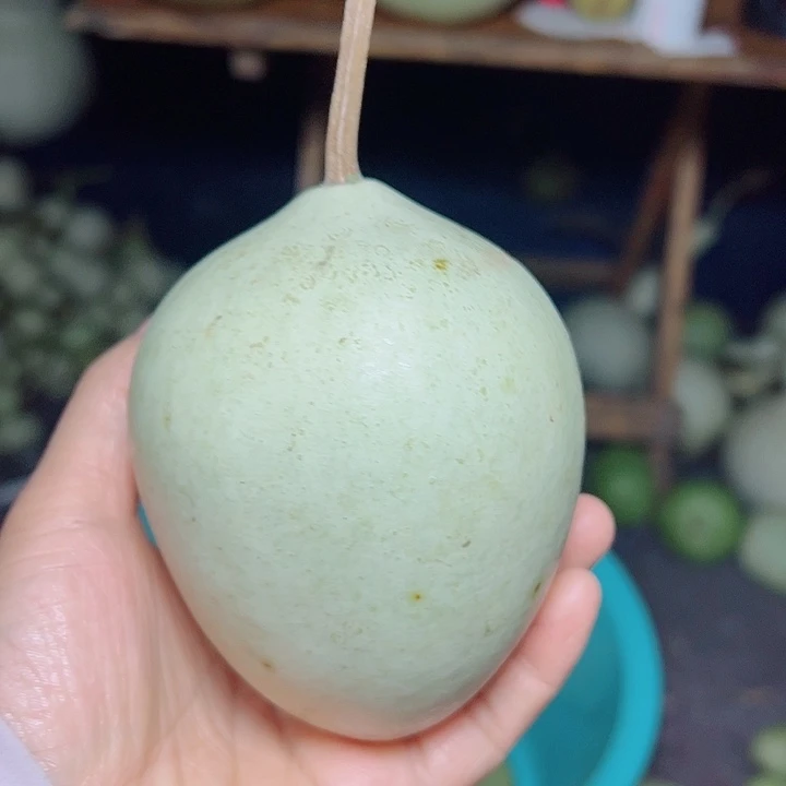 护***艺葫芦娃兄弟姐妹们