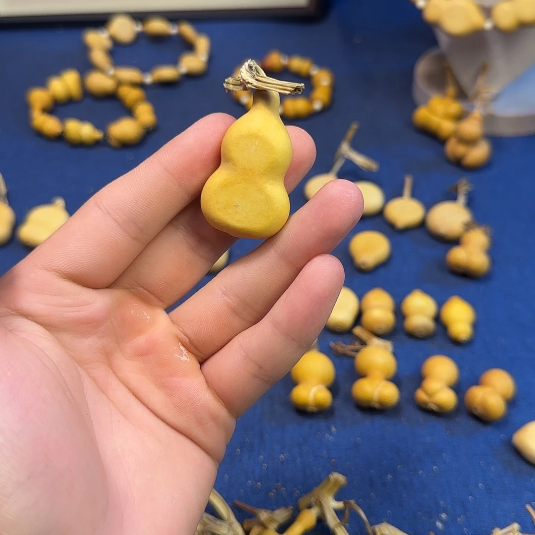 ?*辰葫芦1111111111111