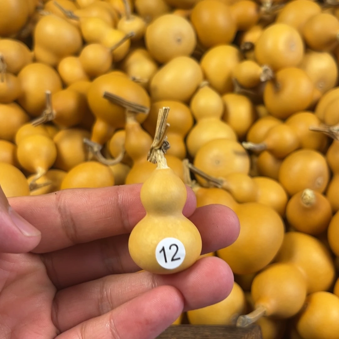 六葫芦葫芦葫芦葫芦12