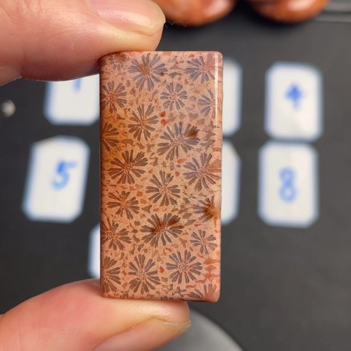 合金珠宝奇石硅化玉663