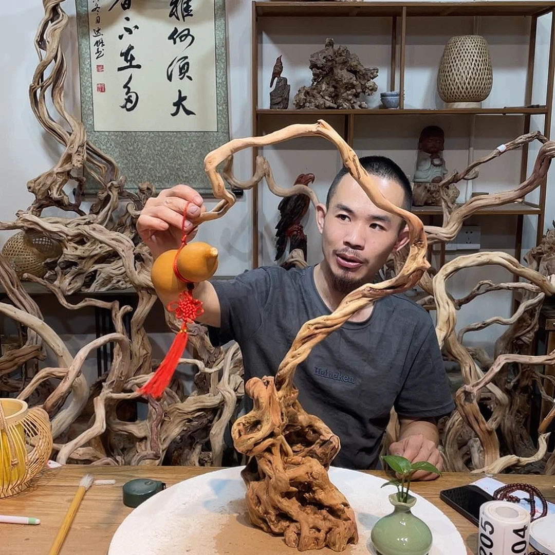 香榧木杜鹃花科二